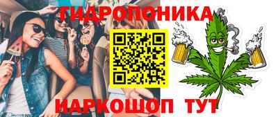индика Абинск