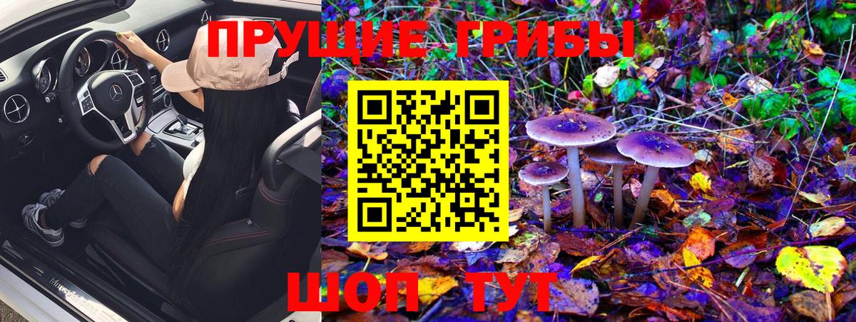 Псилоцибиновые грибы Magic Shrooms  сколько стоит  Азов  Вход с VPN 
